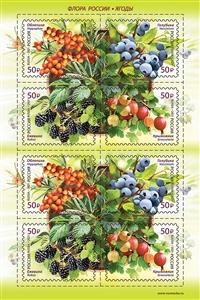 Flora of Russia. Berries