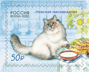 Кошки Невская Фото Цена