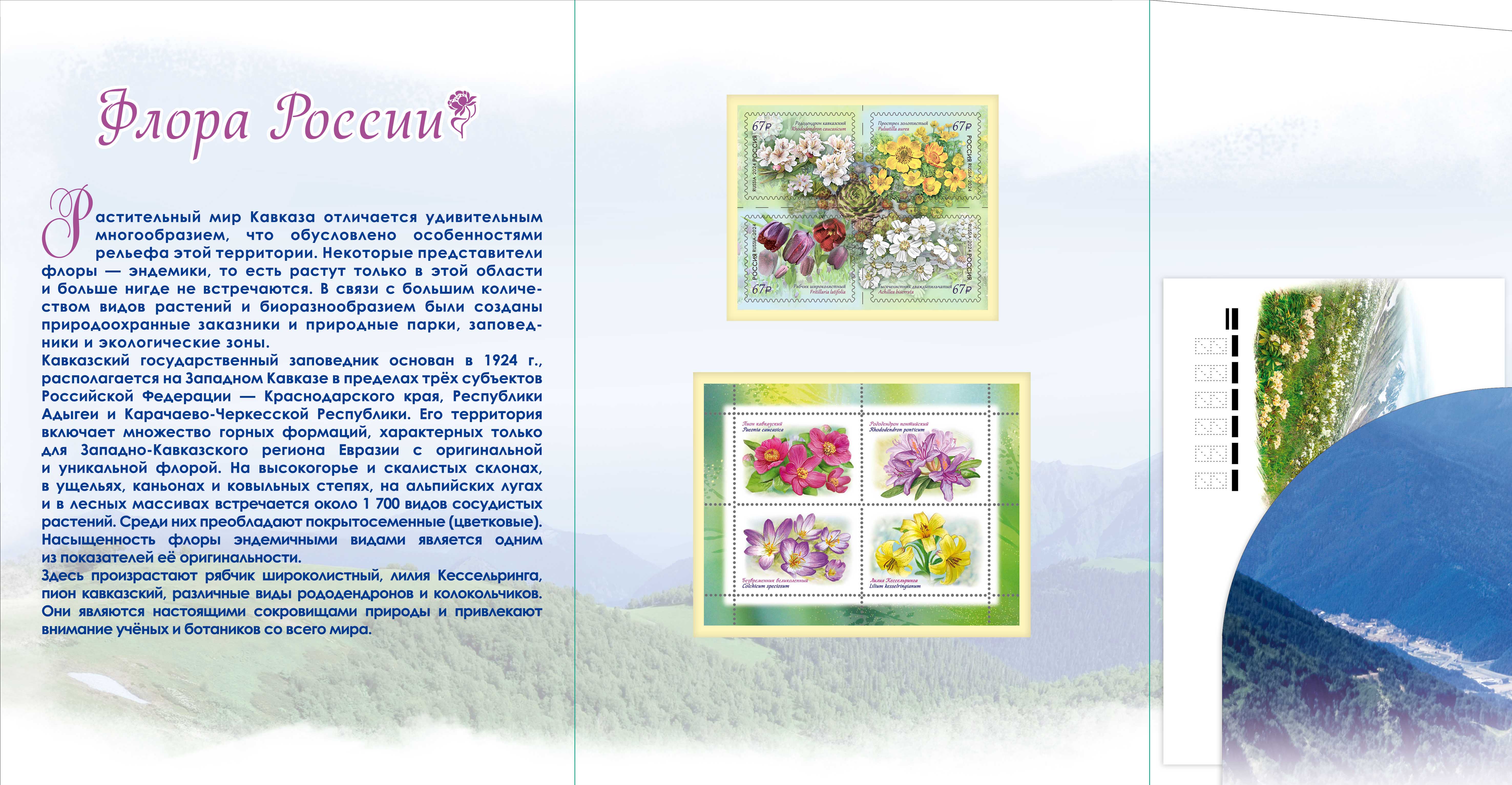 Flora of Russia. To the 100th Anniversary of the Caucasian State Reserve series