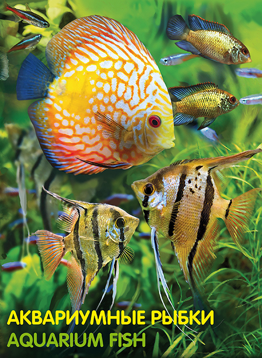Живородящие аквариумные рыбки список с фото