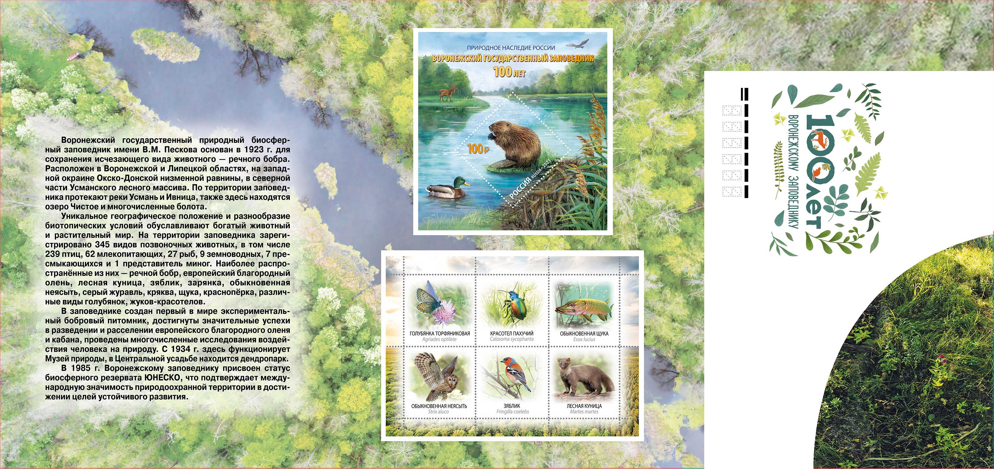 Natural Heritage of Russia series. 100th Anniversary of the V. Peskov Voronezh State Nature Biosphere Reserve