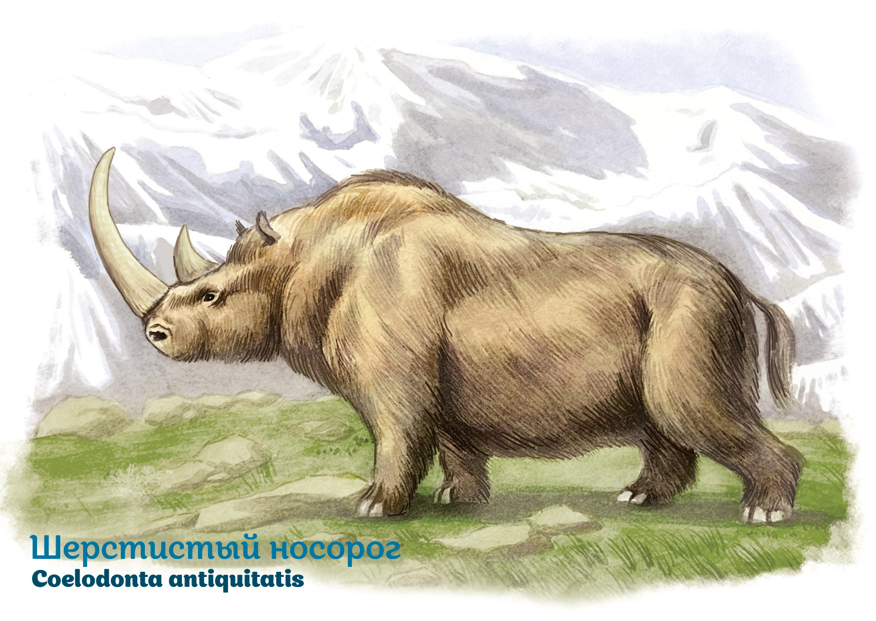 Fauna of Russia. Mammoth fauna