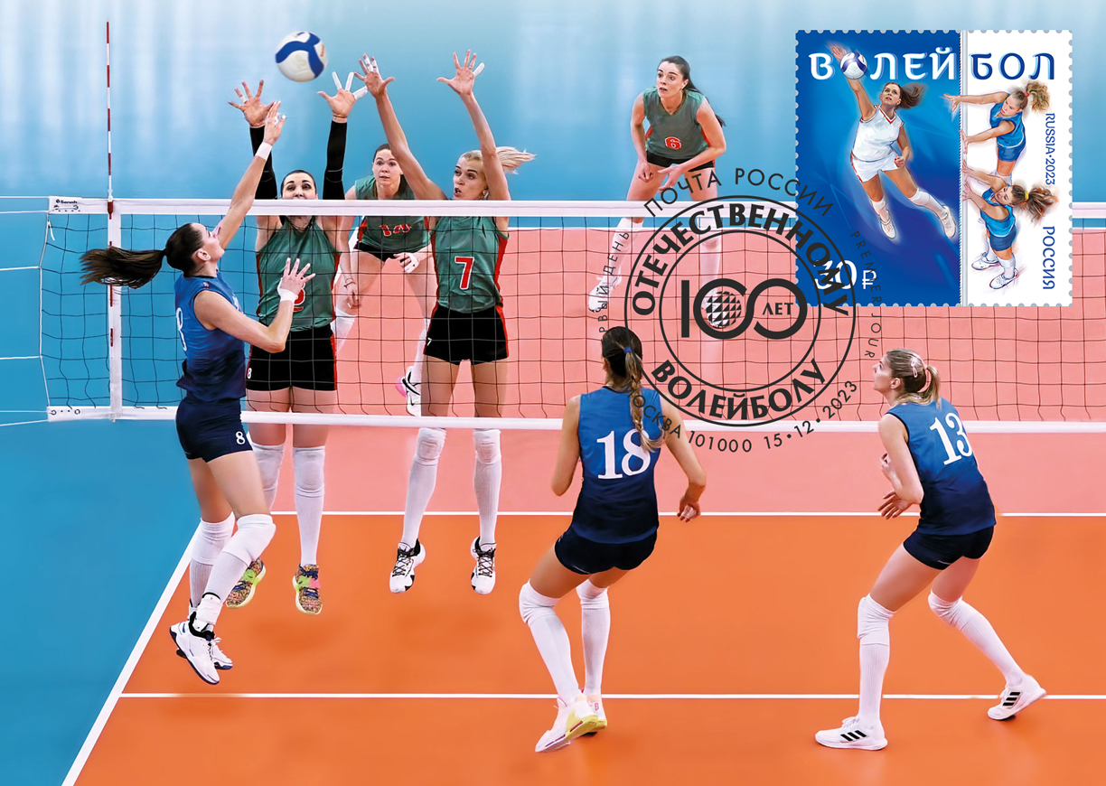 Sports series. Volleyball. Springboard Diving